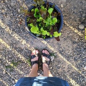 Meet your Posher, Anna